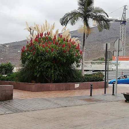 Vacaciones Torreon Costa Adeje (Tenerife)